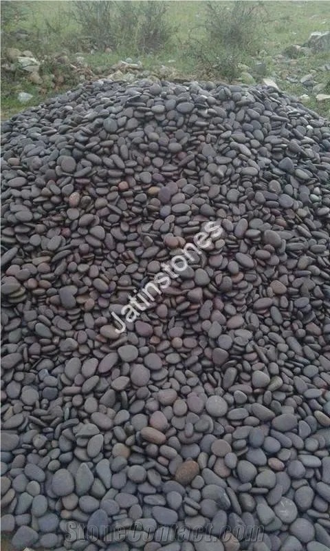 Indian Mixed River  Pebble Stone