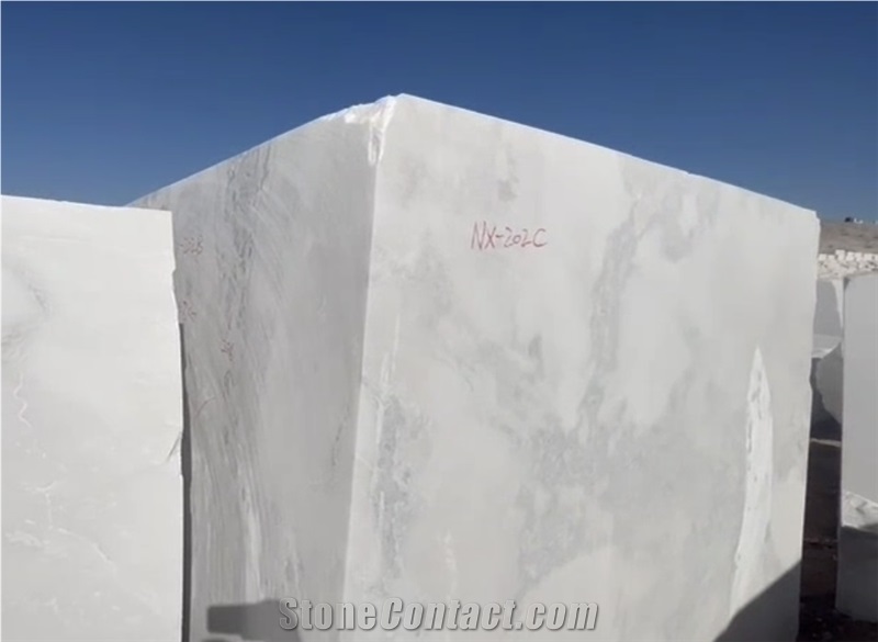 Namibia White Oyster Marble Blocks