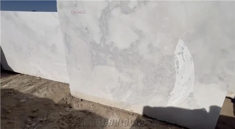 Namibia White Oyster Marble Blocks