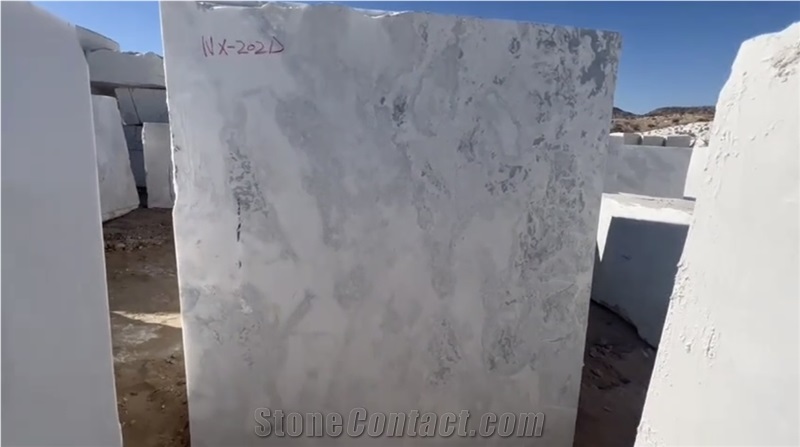 Namibia White Oyster Marble Blocks