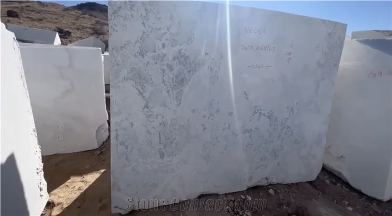 Namibia White Oyster Marble Blocks