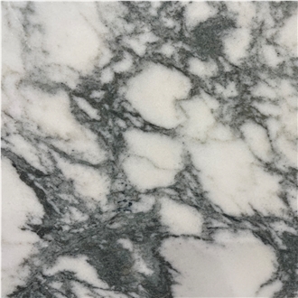 Lasa Venato Arabescato Marble