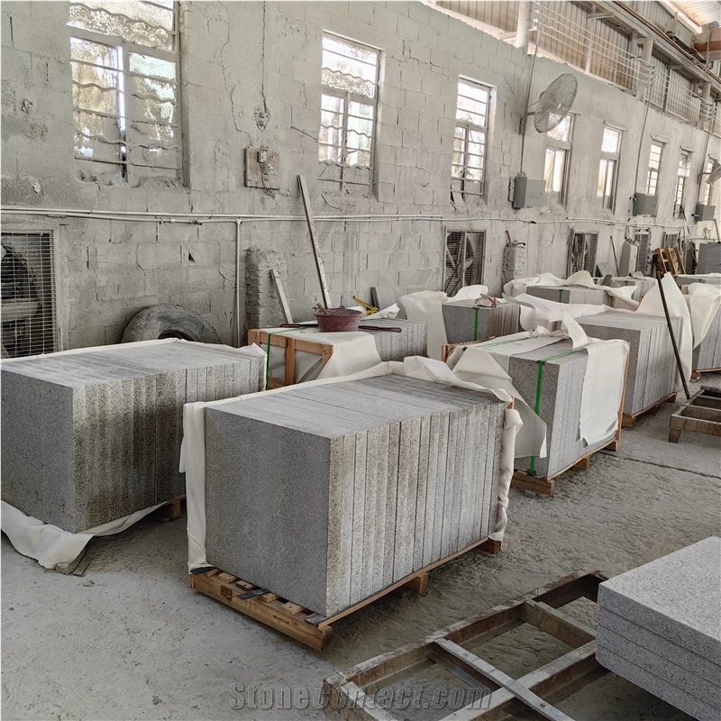 Chinese White Granite Padang White New G655 Tiles