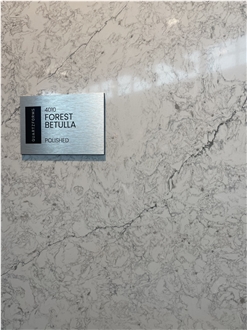 Quartzforms - Forest Bettulla Quartz Slabs Code: 4010