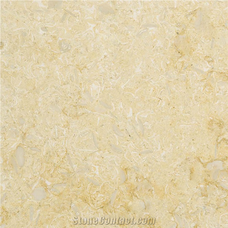 Sunny Menia Marble Tiles