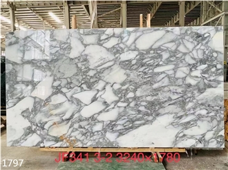 Arabescato Corchia Marble Slabs Bianco White Stone Tile