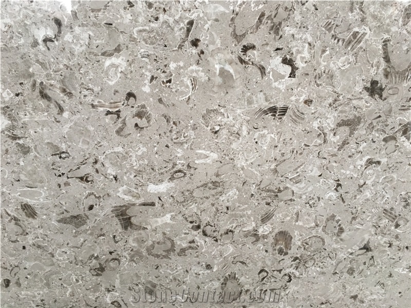 Aurisina Lumachella Limestone Blocks