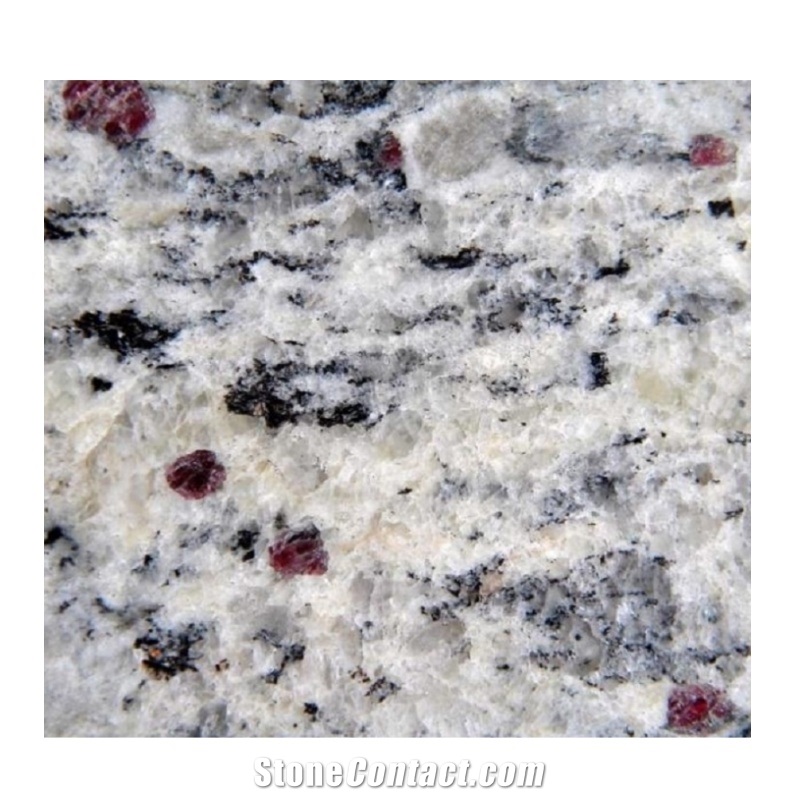 Precut Santa Cecilia Light Granite Kitchen Countertop