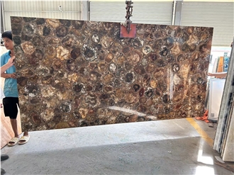 Natural Round Petrified Wood Fossil Semiprecious Stone Slabs