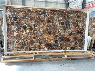 Natural Round Petrified Wood Fossil Semiprecious Stone Slabs