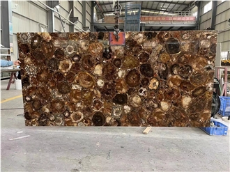 Natural Round Petrified Wood Fossil Semiprecious Stone Slabs