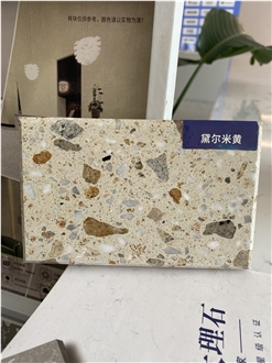 Dell Beige Wall Floor Terrazzo  Slabs
