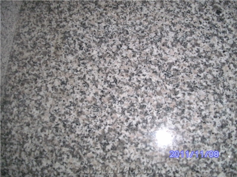 G623 Granite, China Bianco Sardo Granite Slab Floor Tiles