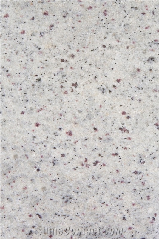 Branco Caravelas Granite - Bianco Regina Granite Slabs