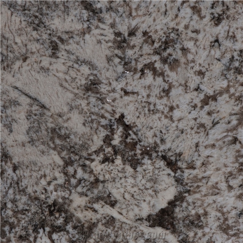 Magnific White - Magnificent White Granite Slabs