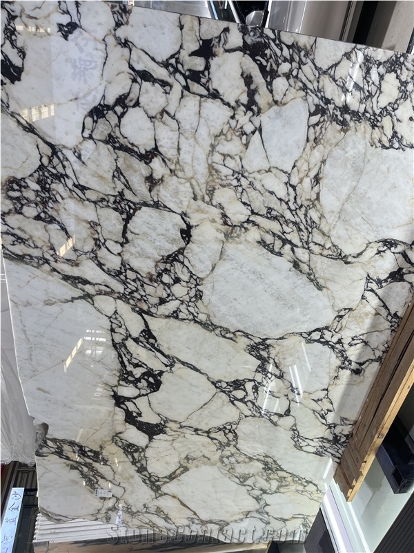 Luxury Italian Marble Tiles Calacatta Viola Flooring Tile