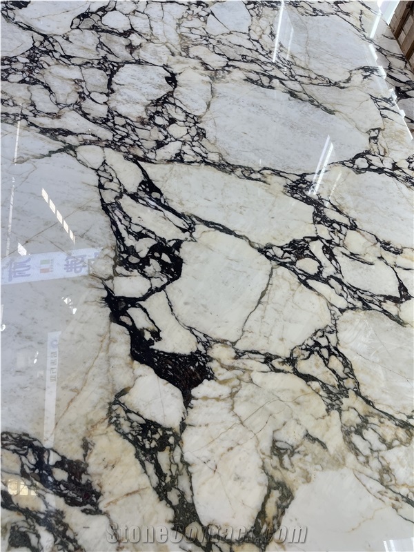 Luxury Italian Marble Tiles Calacatta Viola Flooring Tile