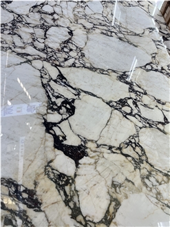 Luxury Italian Marble Tiles Calacatta Viola Flooring Tile