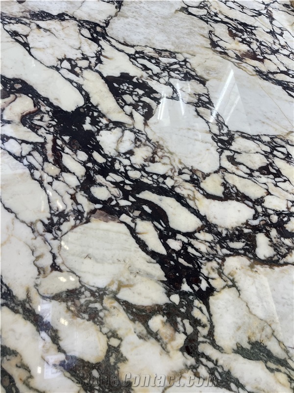 Luxury Italian Marble Tiles Calacatta Viola Flooring Tile