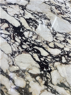 Luxury Italian Marble Tiles Calacatta Viola Flooring Tile