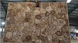 Petrified Wood Semiprecious Stone Slabs Petrified Wood Semiprecious Stone Slabs