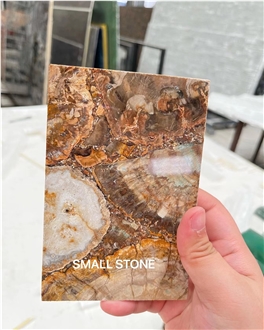 Petrified Wood  Semiprecious Stone Slabs