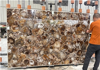Petrified Wood  Semiprecious Stone Slabs