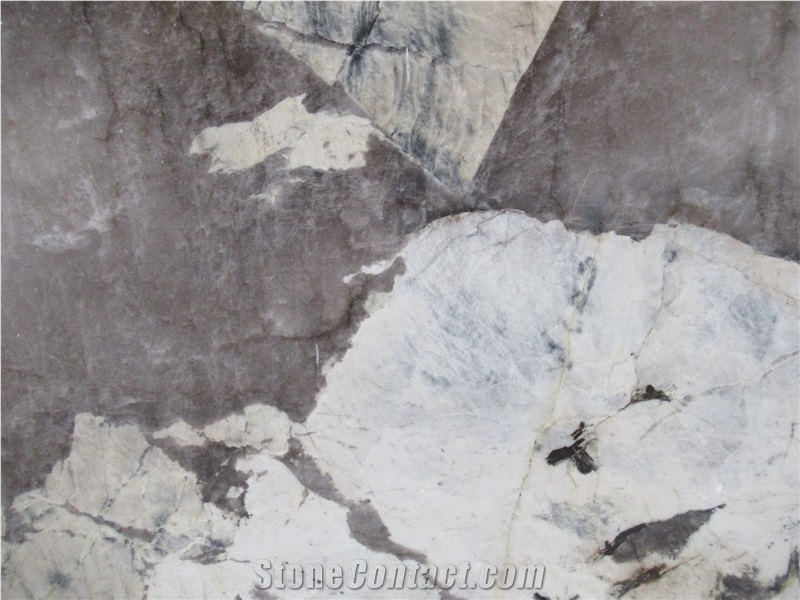 Patagonia White Exotic Quartzite Slabs