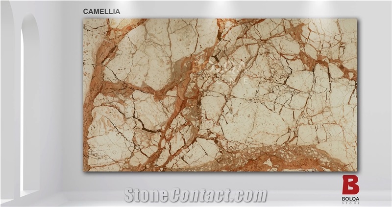 Iran Beige Marble Slabs - Camellia Marble