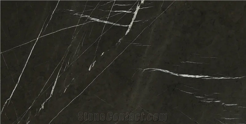 Iran Grey Marble Slabs - Pietra Gray Marble