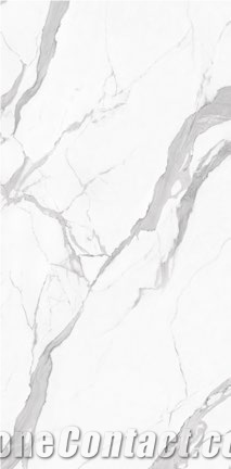Bianco Carrara White Glossy Sintered Stone Slabs