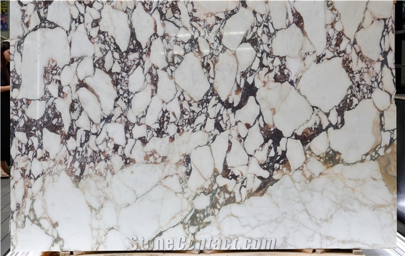 Calacatta Viola Marble Slabs
