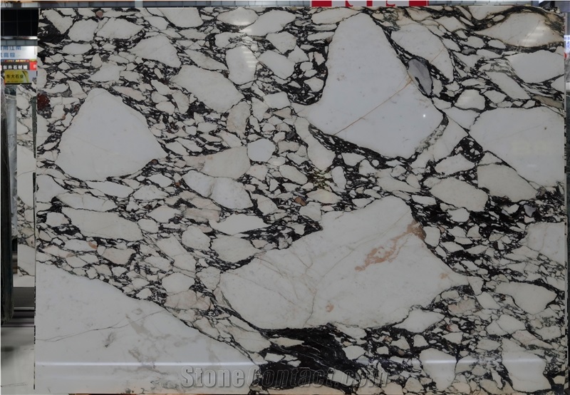 Calacatta Viola Marble Slabs