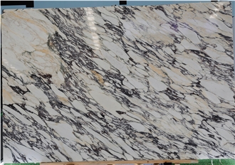 Calacatta Viola Marble Slabs