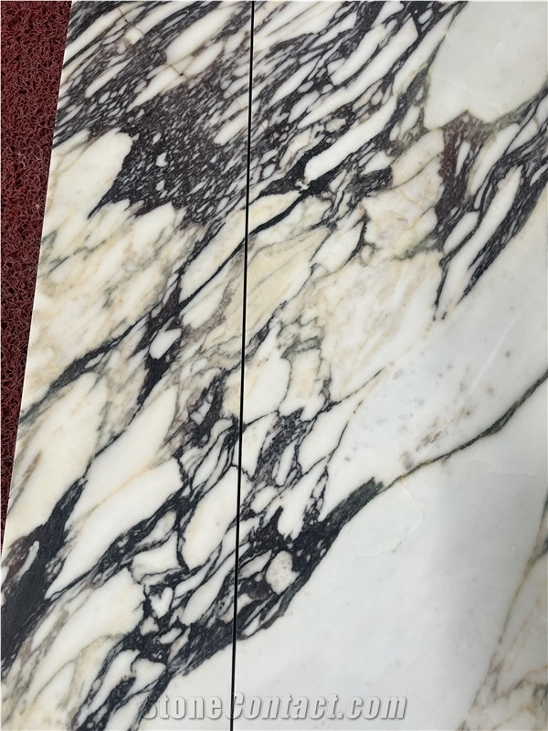Calacatta Viola Marble Tiles For Wall TV Arched Background