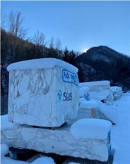 Calacatta Vagli Rosato Marble Blocks