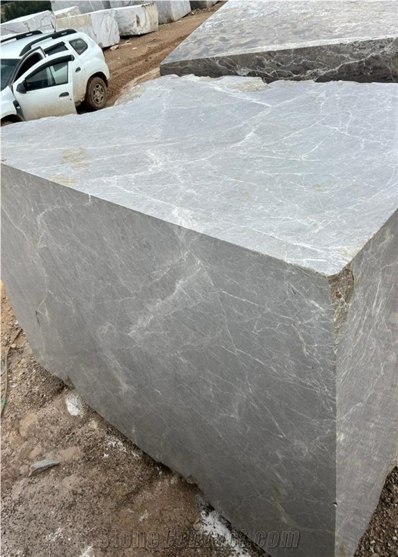 Manas Grey Marble Slabs Tiles