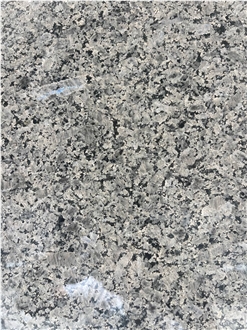 Dolphin Grey Granite Slabs And Tiles