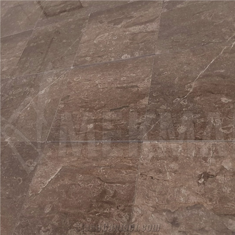 Armani Brown Marble Tiles