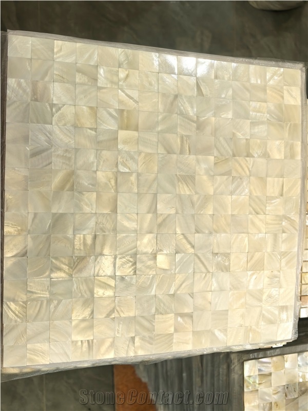 Seamless Square Shell Mosaic Tiles