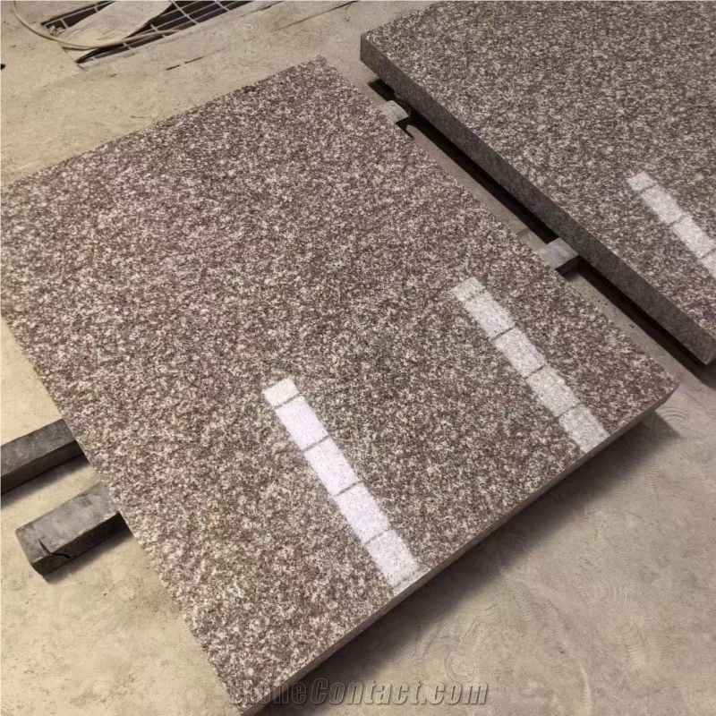 ES High Quality Natural G664 Granite Tiles