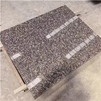 ES High Quality Natural G664 Granite Tiles