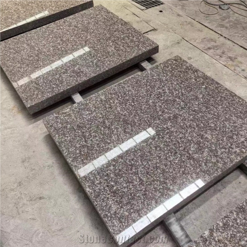 ES High Quality Natural G664 Granite Tiles