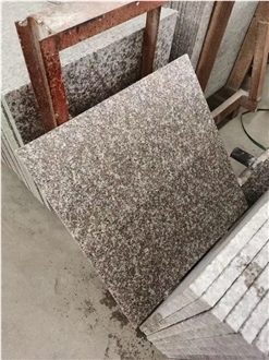 ES High Quality Natural G664 Granite Tiles