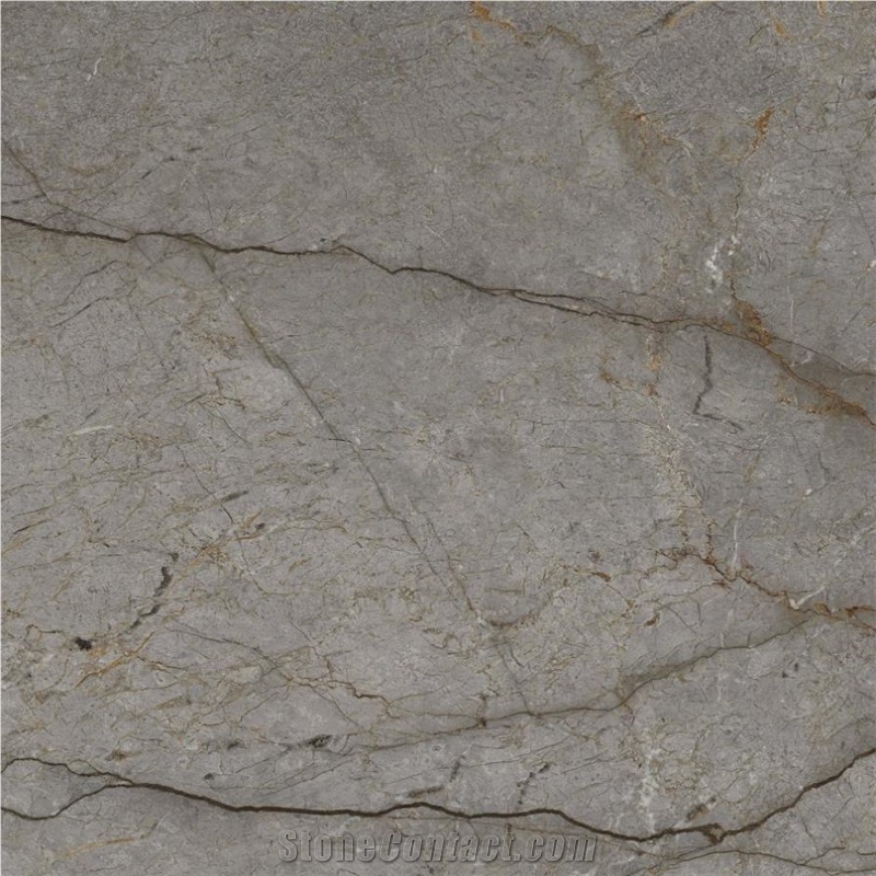 Astana Silver Marble Tile