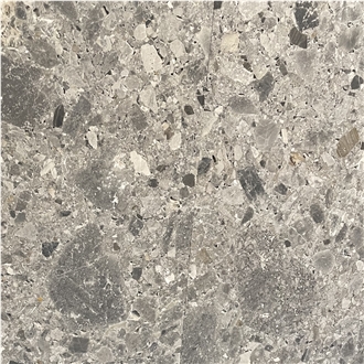 Ceppo Grigio Conglomerate