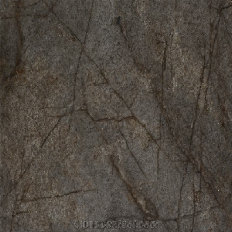 Notte Stellata Quartzite importance=