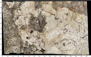 Pandora Granite Slab