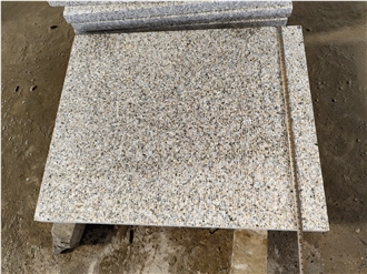 New Puma Granite Tiles G682 Longan Finished Beige Color