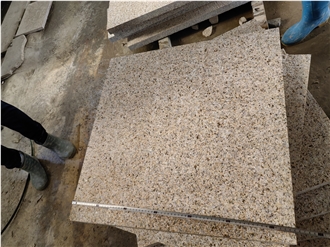 New Puma Granite Tiles G682 Longan Finished Beige Color